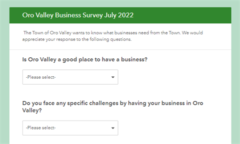 Business Survey.PNG